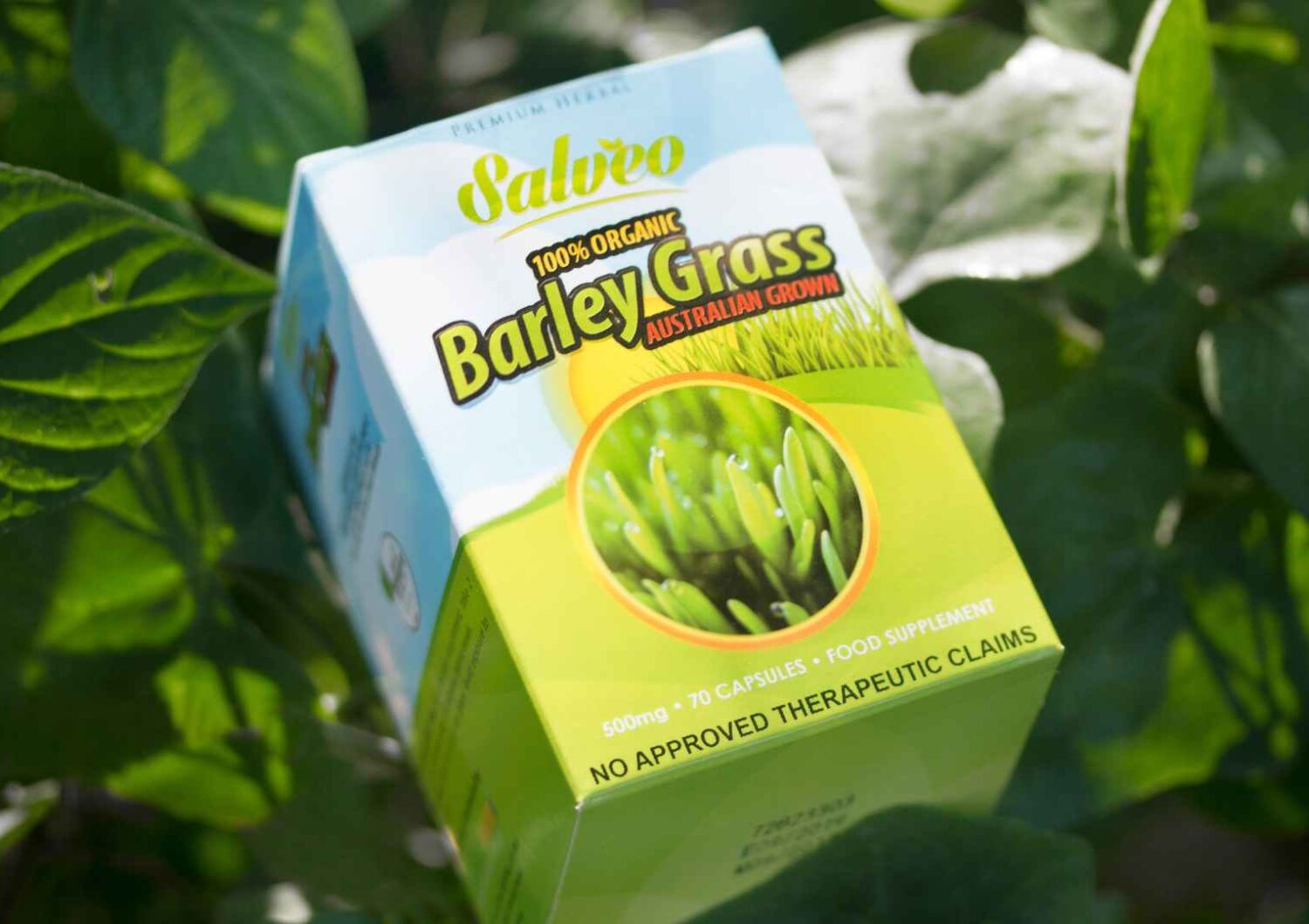 Salveo Barley Grass 2019