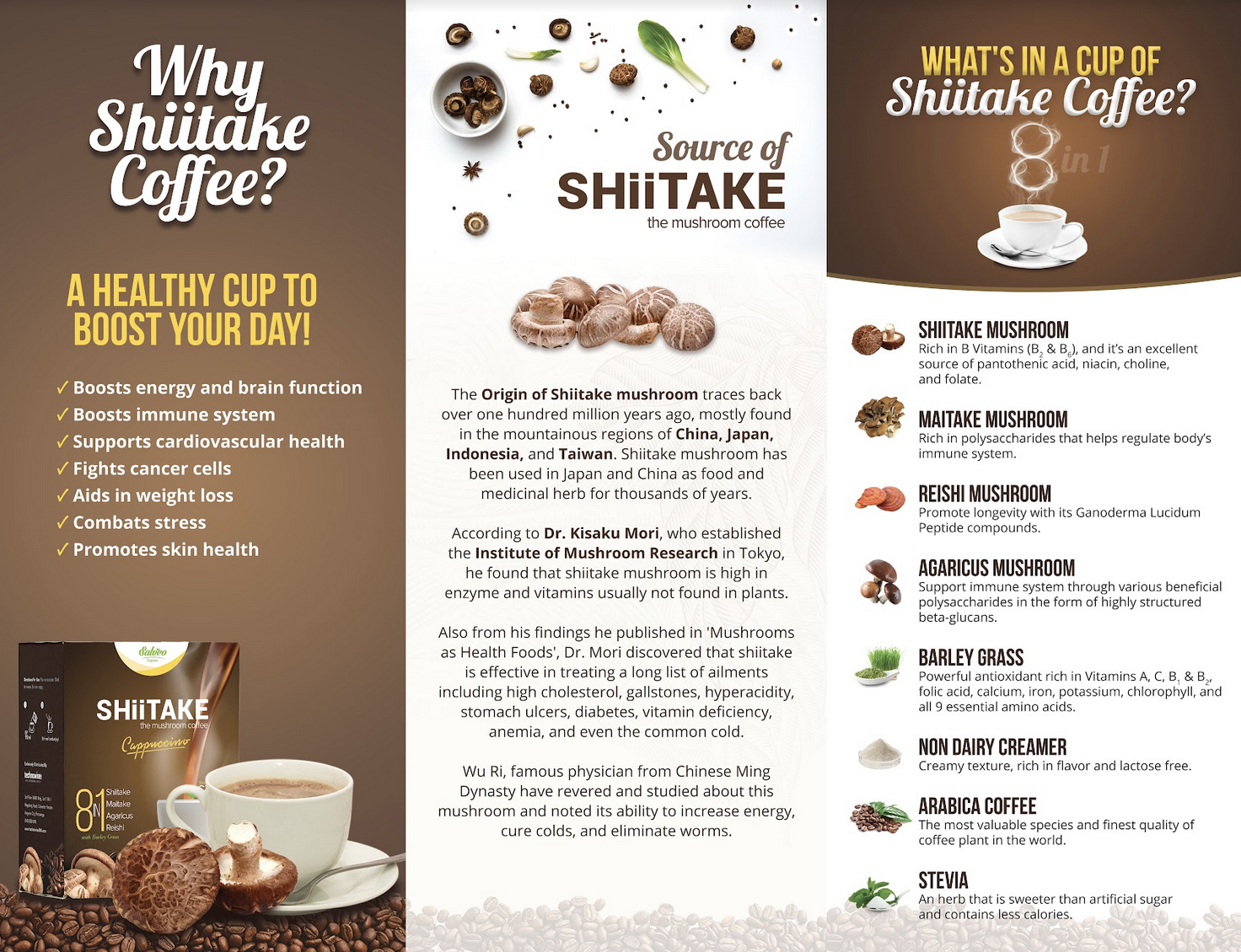 Brochure